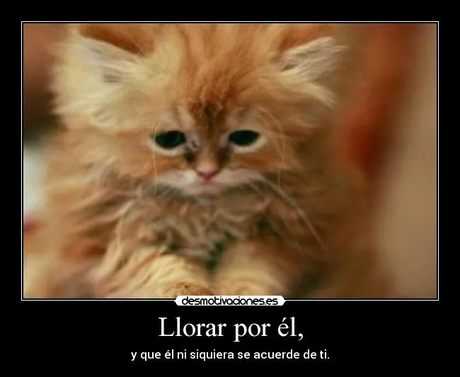 Carteles de Triste Pag. 89 | Desmotivaciones Carteles de Triste Pag. 89 | Desmotivaciones