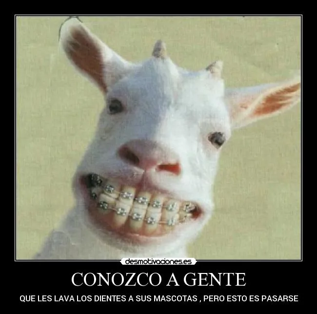 Carteles de Valladolid Pag. 9 | Desmotivaciones Carteles de Valladolid Pag. 9 | Desmotivaciones