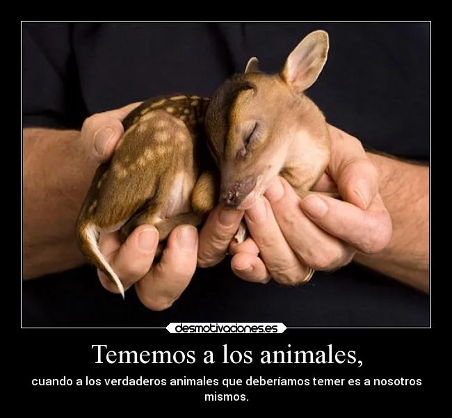 Carteles de Verdaderos Pag. 8 | Desmotivaciones Carteles de Verdaderos Pag. 8 | Desmotivaciones