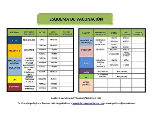 Cartilla Nacional de Vacunación en México para el 2010. Parte 1 ...