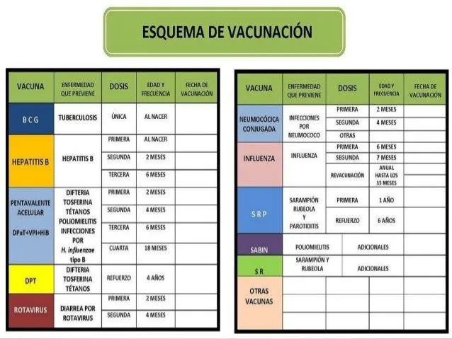 cartilla-de-vacunacion-5-638. ...