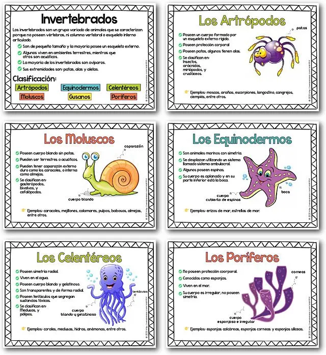 Cartillas de los Animales Invertebrados y sus Características