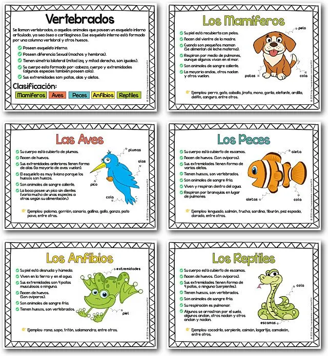Cartillas de los Animales Vertebrados y sus Características Cartillas de los Animales Vertebrados y sus Características