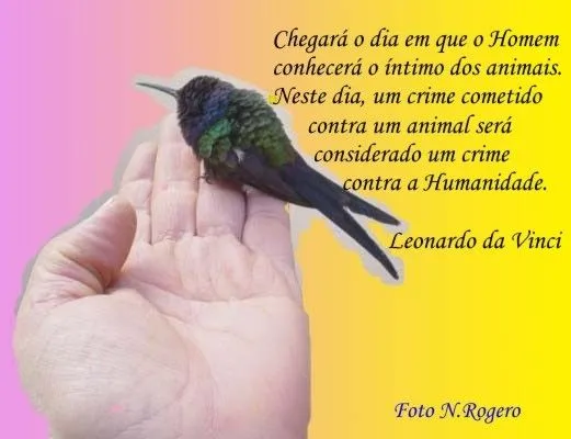Cartões de Poemas - Recados e Amor | Mensagens - Cultura Mix Cartões de Poemas - Recados e Amor | Mensagens - Cultura Mix