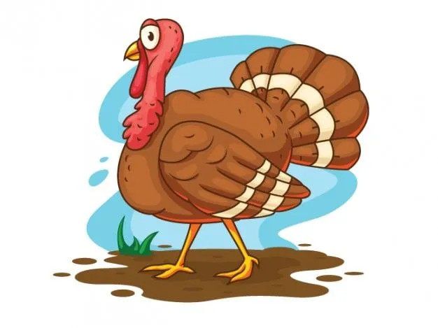 Cartoon ilustración vectorial de pavo | Descargar Vectores gratis Cartoon ilustración vectorial de pavo | Descargar Vectores gratis