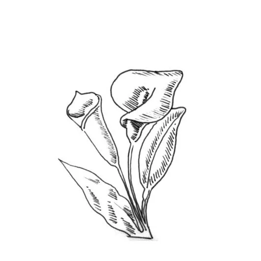 cartucho-para-colorear.jpg