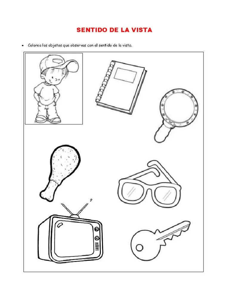 Cosas de La Casa para Colorear | PDF