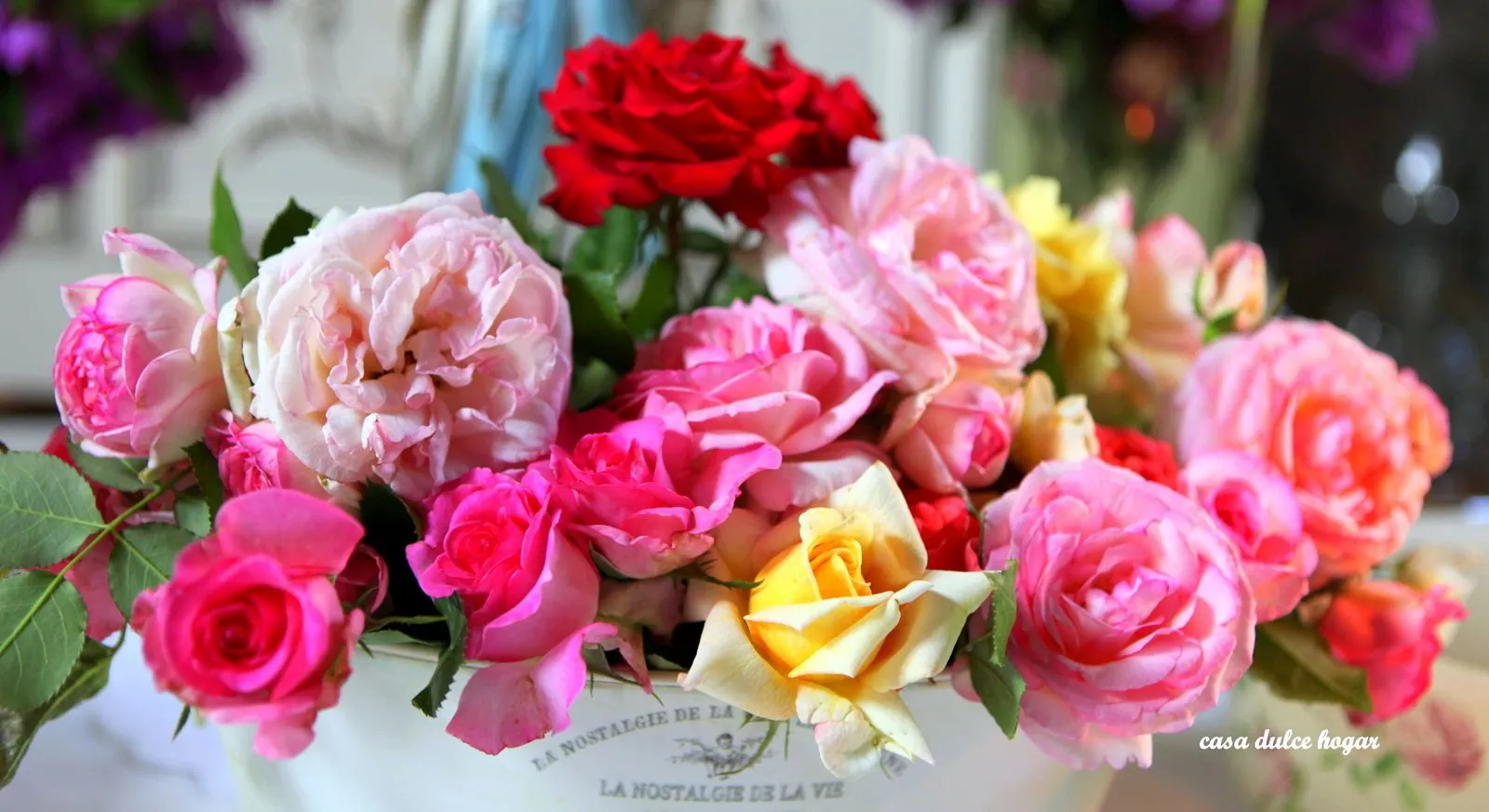 casa dulce hogar: febrero 2012