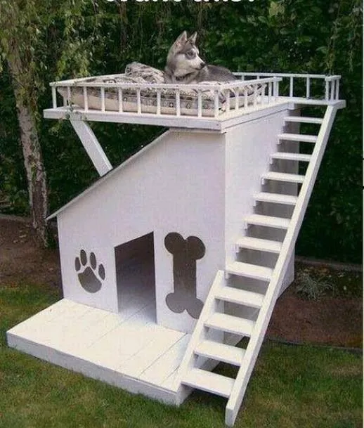 casas para gatos | MultiHogar Alicante