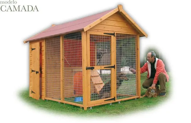 casas-perros-camada-maxi-foto- ...