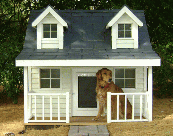 Las casas para perros mas originales y creativas Las casas para perros mas originales y creativas