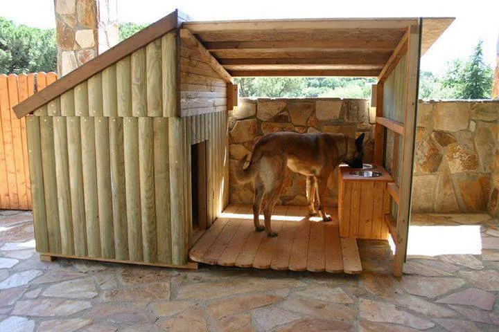 Las casas para perros mas originales y creativas