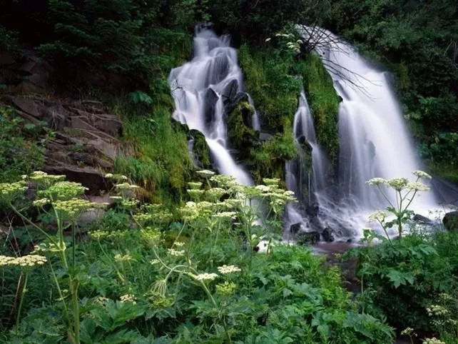 cascada-2.jpg