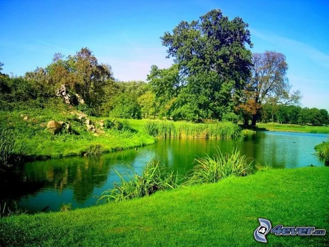 Cascada
