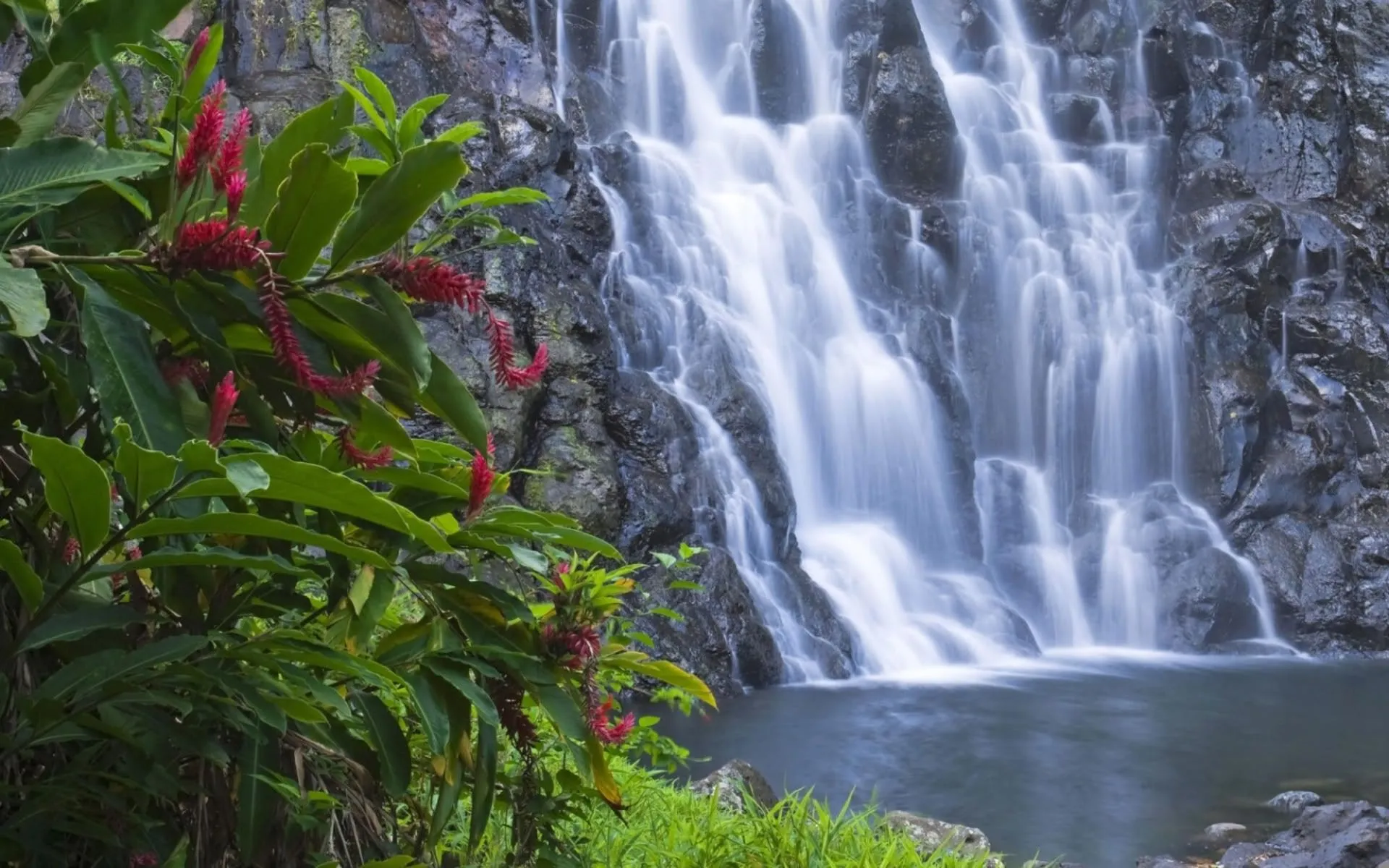 Cascada Fondos de pantalla, Fondos de escritorio | 1920x1200 | ID ...