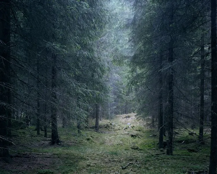 Cascadas, bosques y paisajes. - Taringa!
