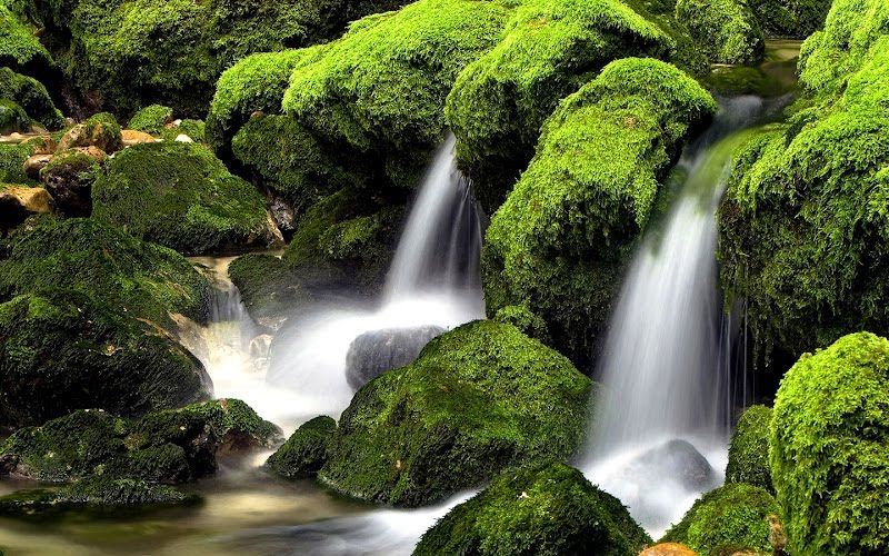 cascadas con movimiento y sonido gratis - Buscar con Google ...