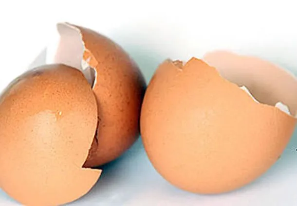 La cáscara del huevo y sus muchos usos en la medicina natural ... La cáscara del huevo y sus muchos usos en la medicina natural ...