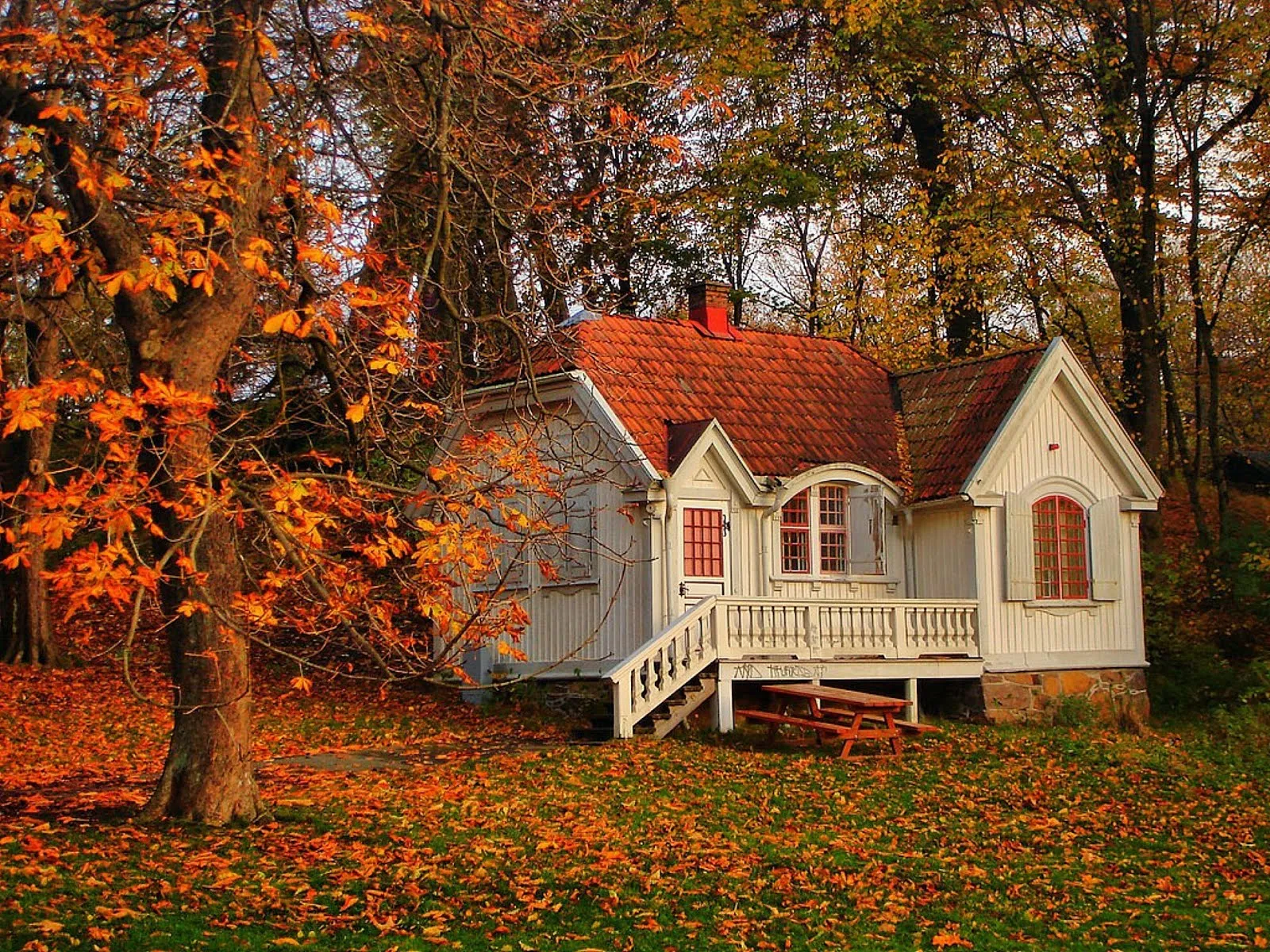 Idool Casita en el bosque durante el otoño - Autumn cottage Idool Casita en el bosque durante el otoño - Autumn cottage