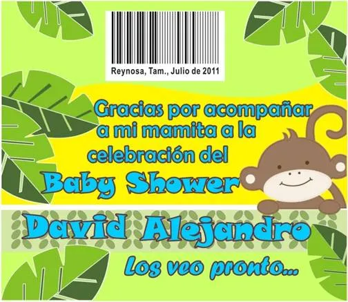 Casita Curacao: Baby Shower Changuito