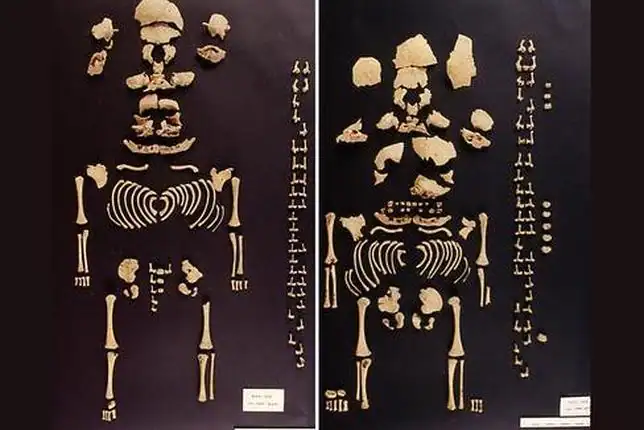 El primer caso de gemelas prehistóricas sale a la luz - ABC.es El primer caso de gemelas prehistóricas sale a la luz - ABC.es