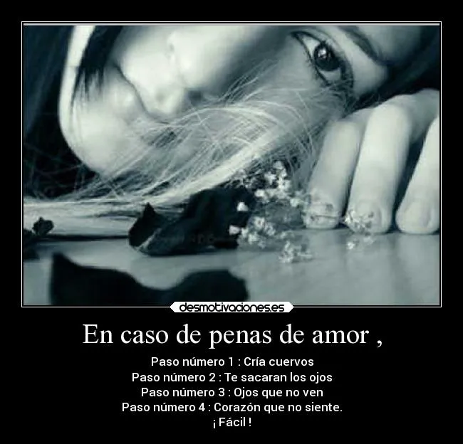 En caso de penas de amor , | Desmotivaciones