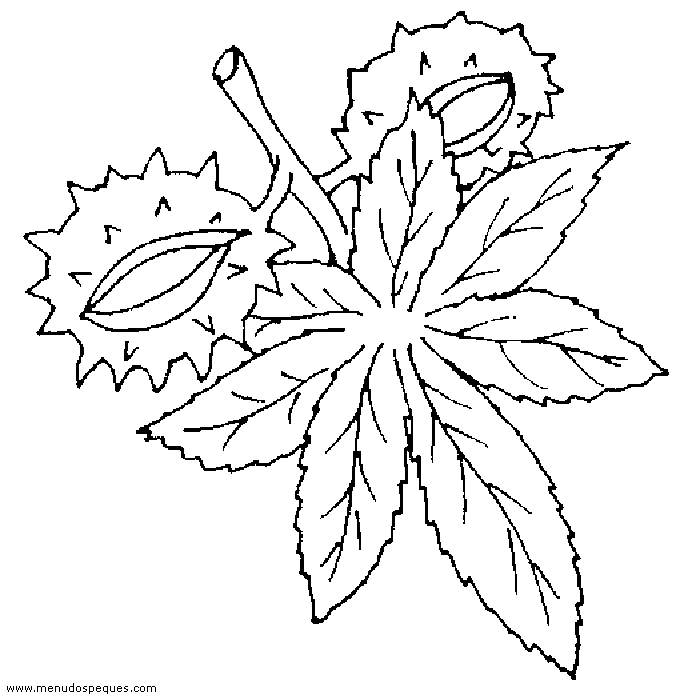 Castañas para colorear 02 - Otoño Frutos Secos Castañas para colorear 02 - Otoño Frutos Secos