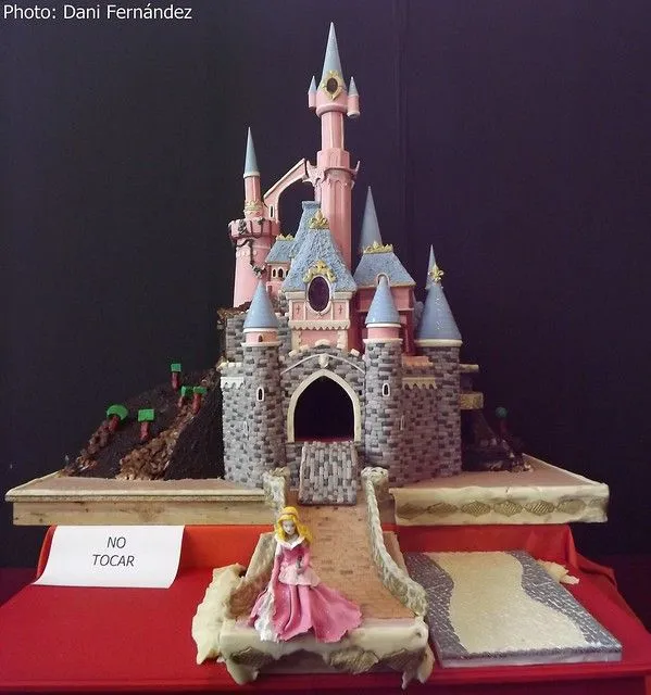 Castillo Disney | Flickr - Photo Sharing!