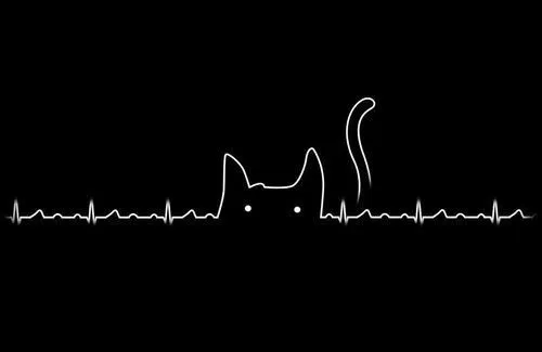 cat cute music rock wallpaper doodle Black Cat wallpapers fondos ... cat cute music rock wallpaper doodle Black Cat wallpapers fondos ...