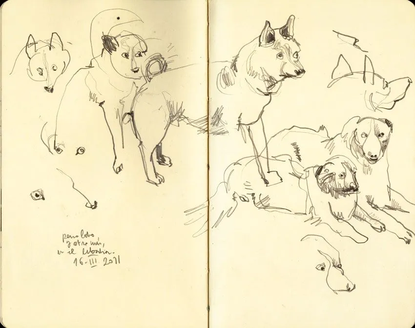 catalina: Perro lobo