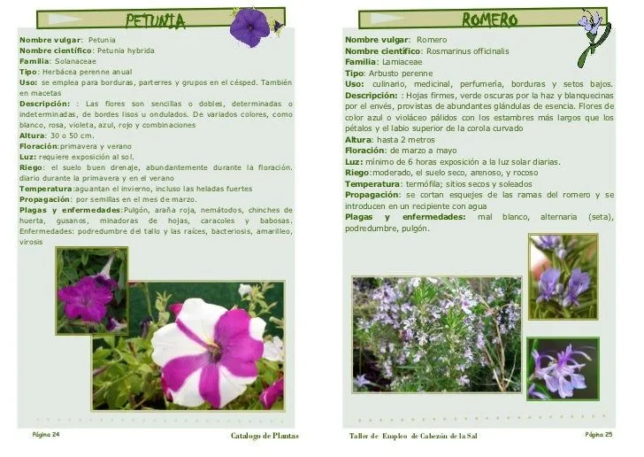 Catalogo plantas