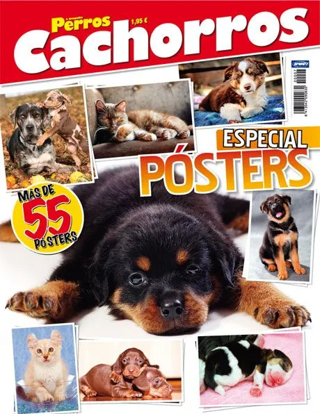 Catálogo de revista - Grupo V