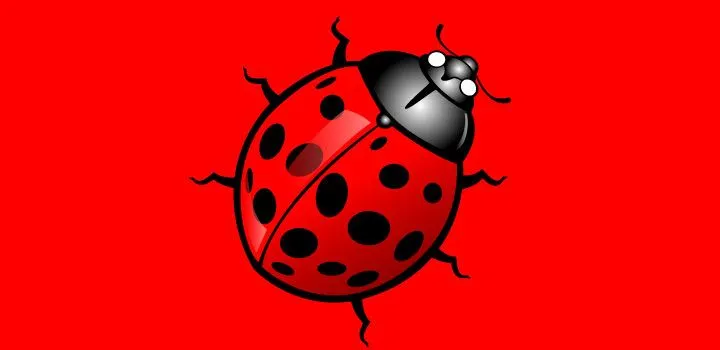 Catarina | Vectores Gratis