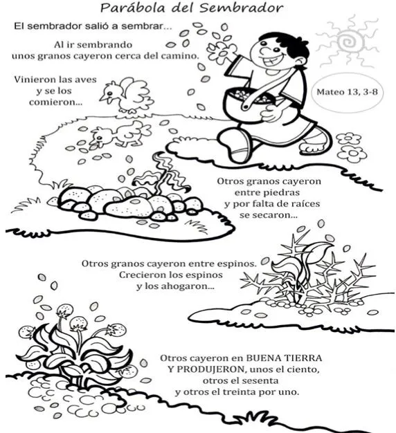 Para la catequesis – Domingo XV de Tiempo Ordinario | Alforjas de Pastoral Para la catequesis – Domingo XV de Tiempo Ordinario | Alforjas de Pastoral