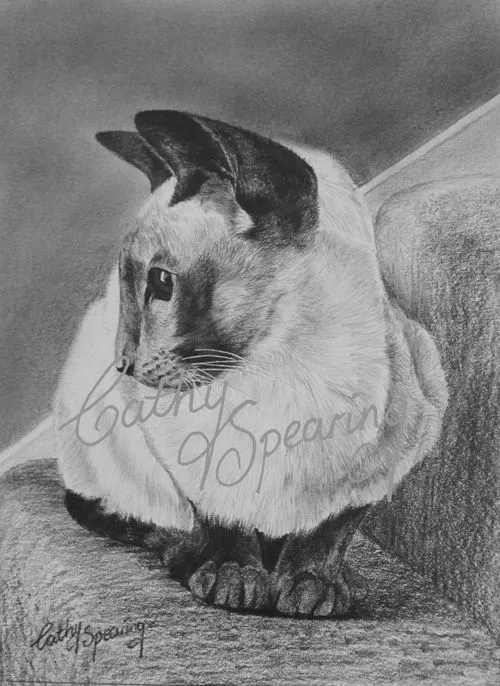 Cathy Spearing - Equestrian and animal artist.: Siamese Cat in ... Cathy Spearing - Equestrian and animal artist.: Siamese Cat in ...