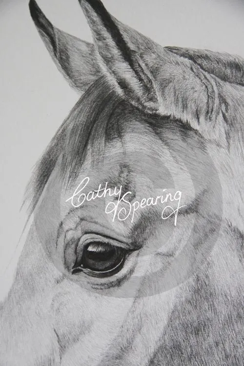 Cathy Spearing - Equestrian and animal artist.: Arab horse pencil ...