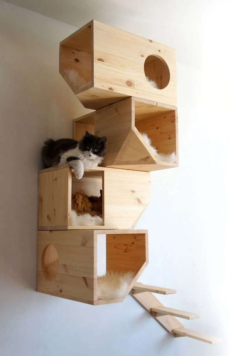 Catissa una casa modular para gatos | Maria victrix Catissa una casa modular para gatos | Maria victrix