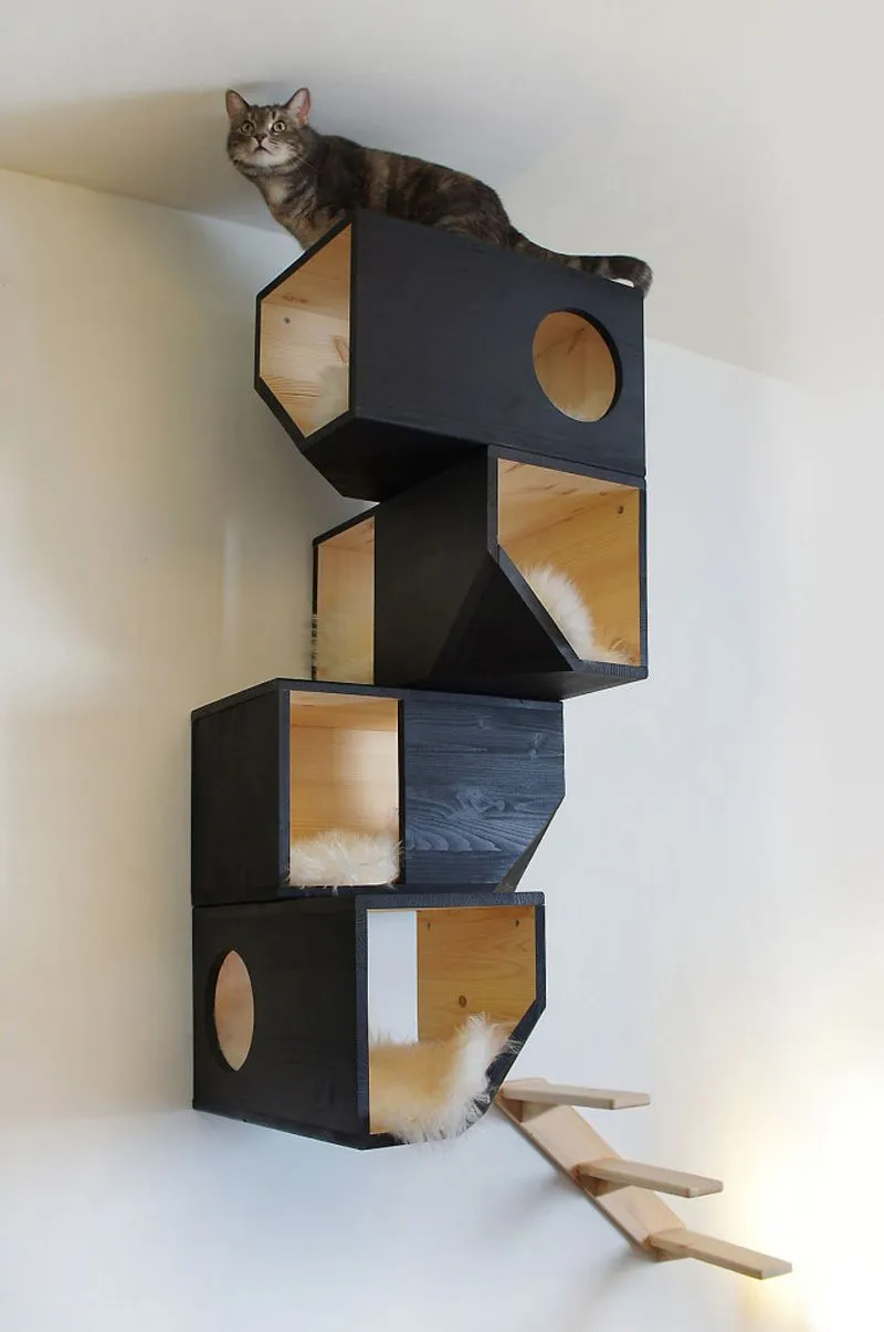 Catissa una casa modular para gatos | Maria victrix Catissa una casa modular para gatos | Maria victrix