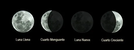 Dibujos de las 4 fases de la luna - Imagui