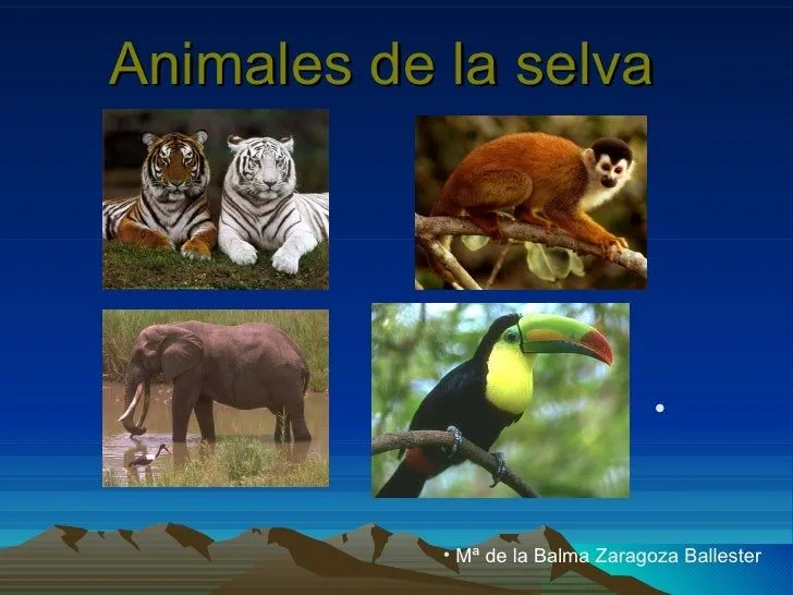 Cdocumentsandsettings4descritorioanimalesdelaselva 090610035133-phpap… Cdocumentsandsettings4descritorioanimalesdelaselva 090610035133-phpap…
