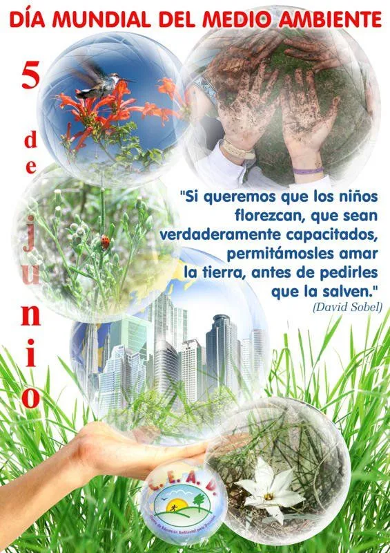 CEAD/Centro de Educación Ambiental para Docentes: Cada ambiente en ... CEAD/Centro de Educación Ambiental para Docentes: Cada ambiente en ...