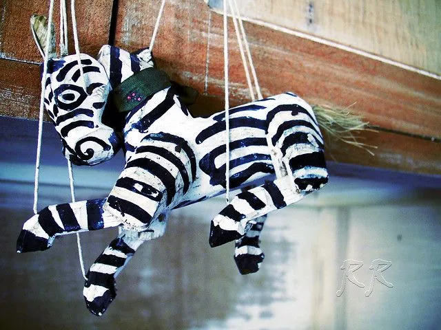 Cebra Azul | Flickr - Photo Sharing!