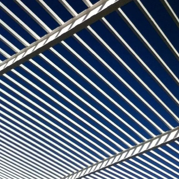 Cebra azul | Flickr - Photo Sharing!