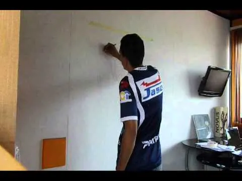 cebra pared pintura - YouTube