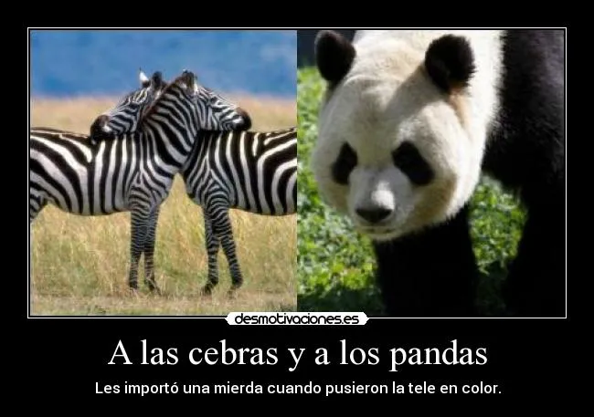 A las cebras y a los pandas | Desmotivaciones