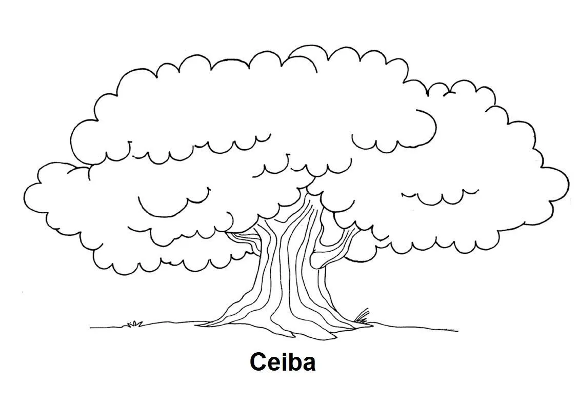 ceiba para colorear - Buscar con Google | Art, Mayan, Guatemala ceiba para colorear - Buscar con Google | Art, Mayan, Guatemala