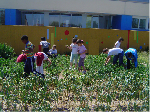 CEIP CONDE DE VALLELLANO