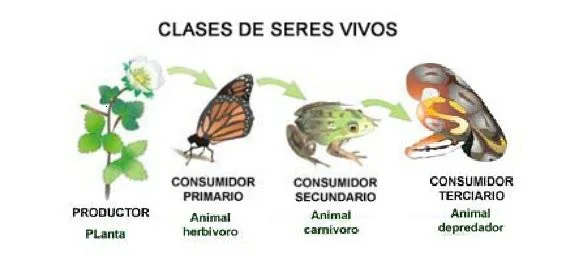 CEIP LA MARQUESA 1º: UNIDAD 6: CM