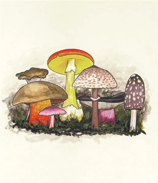 CEIP "MONTE GÁNDARA"