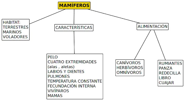 ceipism2013: CONOCIMIENTO DEL MEDIO